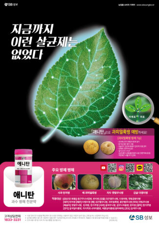 애니탄 광고