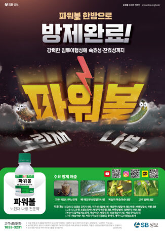 파워볼 광고