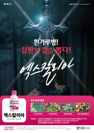 엑스칼리아 광고