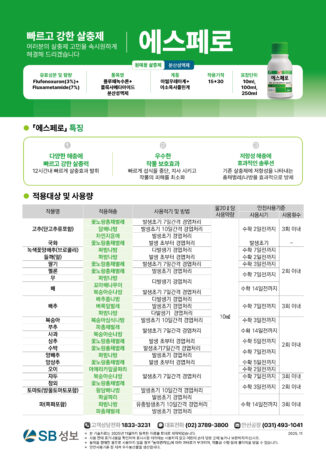에스페로-리플렛_251113-02.jpg
