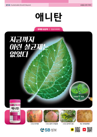 애니탄 리플렛