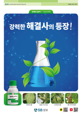 세피나플러스 리플렛