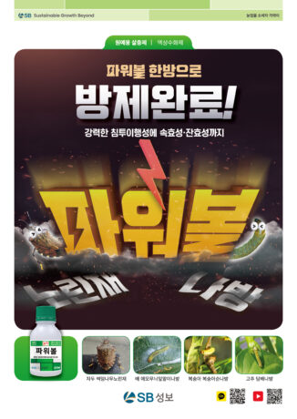 파워볼 리플렛