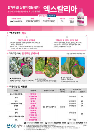 엑스칼리아-리플렛_260406-1-02.jpg