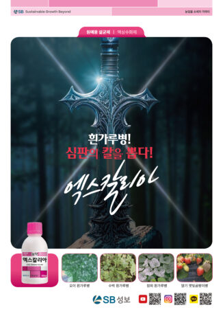 엑스칼리아 리플렛