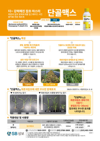 단골맥스-리플렛_251222-1-02.jpg