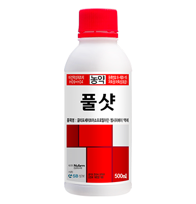 풀샷 - SB성보