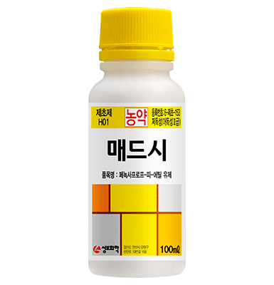 매드시