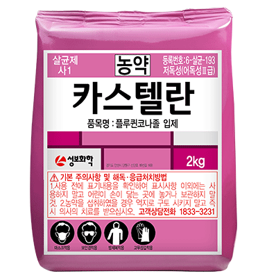 카스텔란