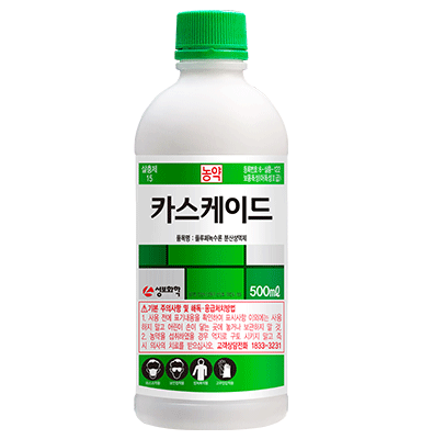 카스케이드