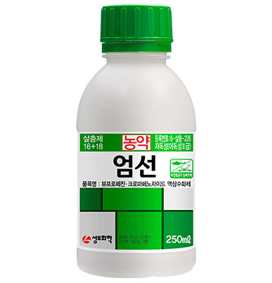 엄선