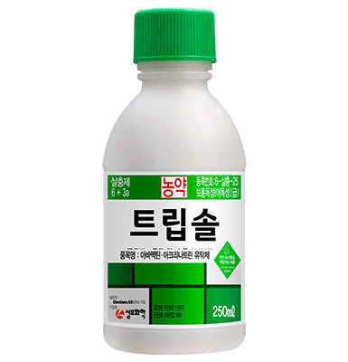 트립솔