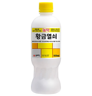 황금열쇠