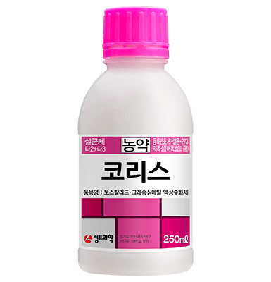 코리스
