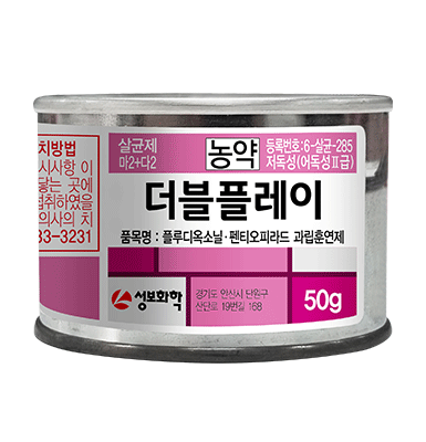 더블플레이