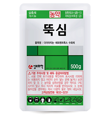 뚝심