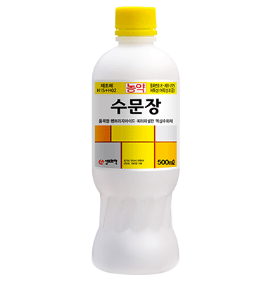 수문장