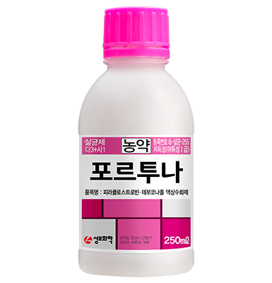 포르투나