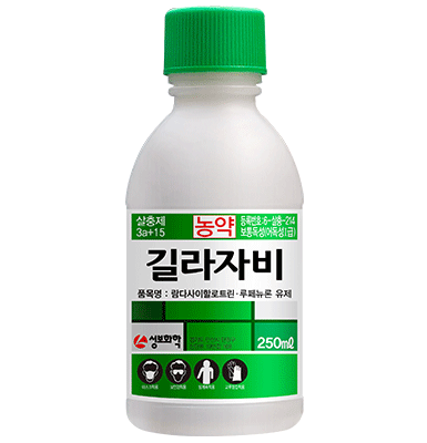 길라자비