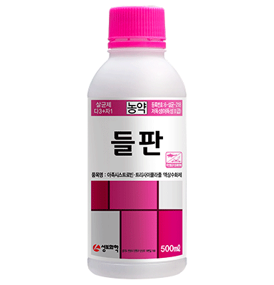 들판
