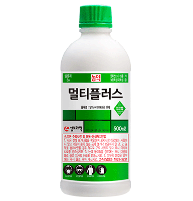 멀티플러스