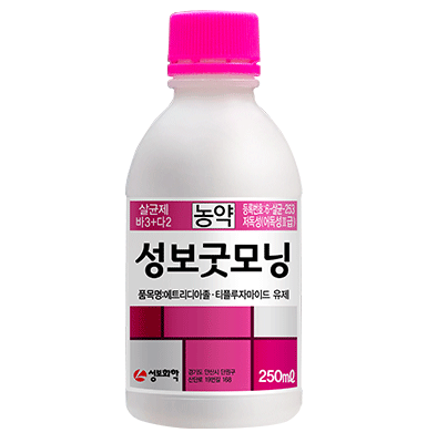 성보굿모닝