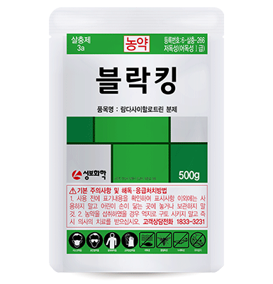 블락킹