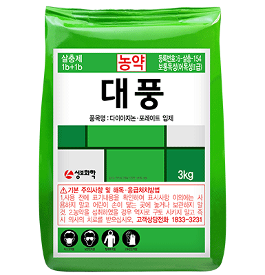 대풍
