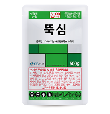뚝심