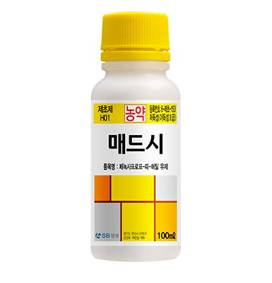 매드시