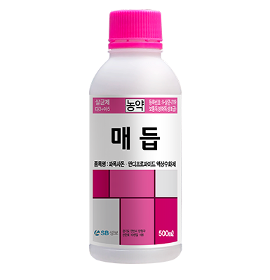 매듭