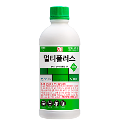 멀티플러스