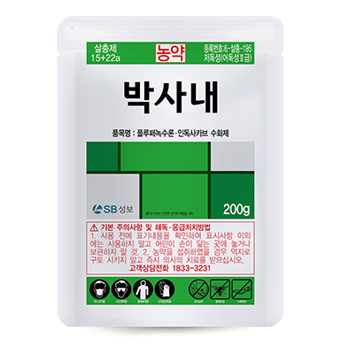 박사내