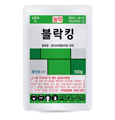 블락킹