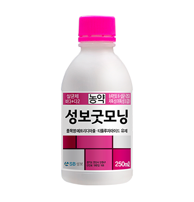 성보굿모닝