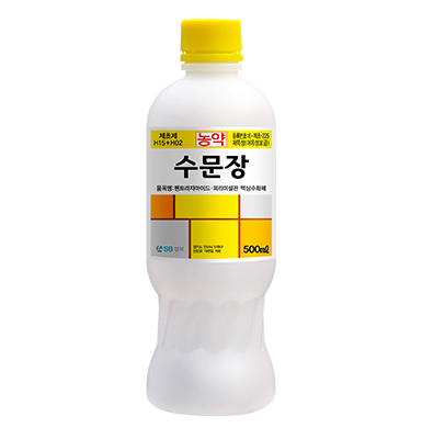수문장