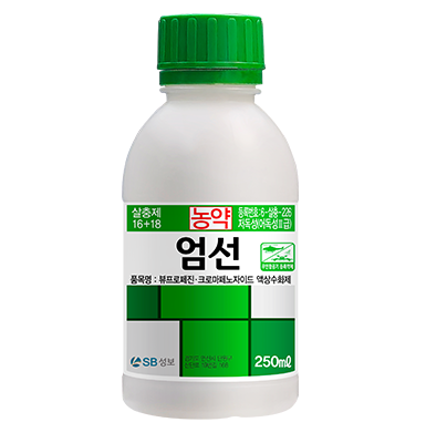 엄선