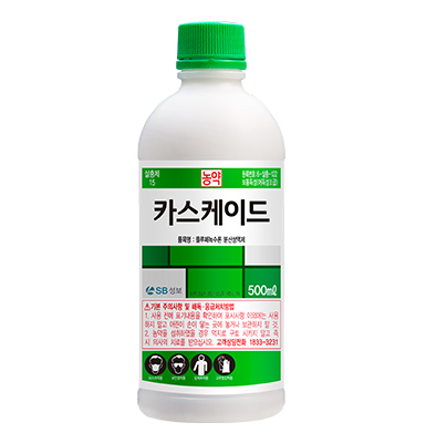 카스케이드