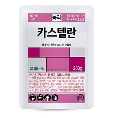 카스텔란