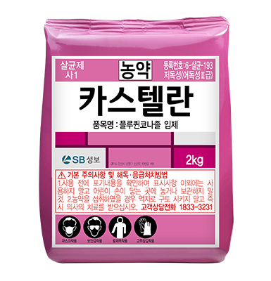 카스텔란(입)