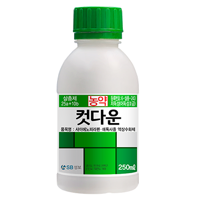컷다운