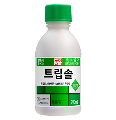 트립솔