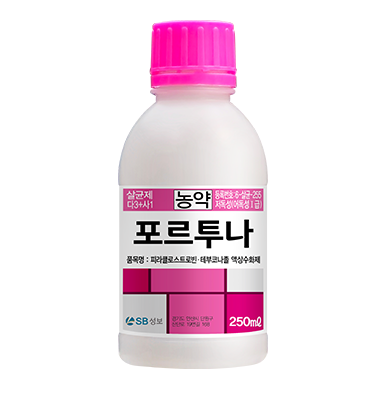 포르투나