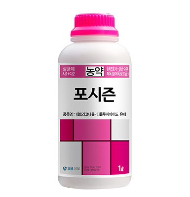 포시즌
