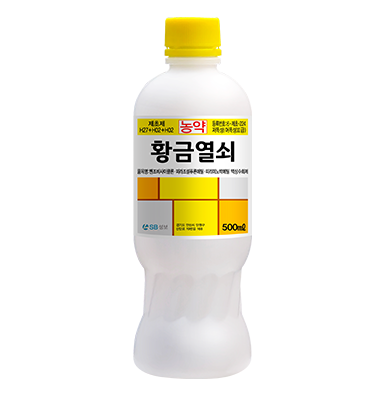 황금열쇠